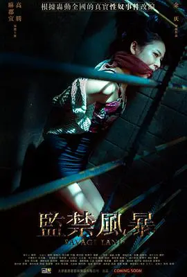 《监禁风暴》：深渊中的人性博弈，一场关于自由与救赎的惊心动魄的越狱史诗