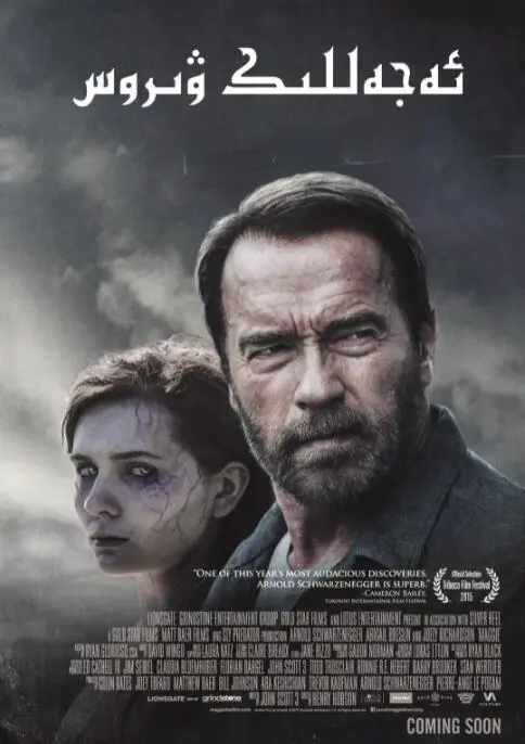 《丧家之女》：绝境求生，女性力量的史诗！当命运沦为囚笼，她如何打破束缚，成为自己的女王？